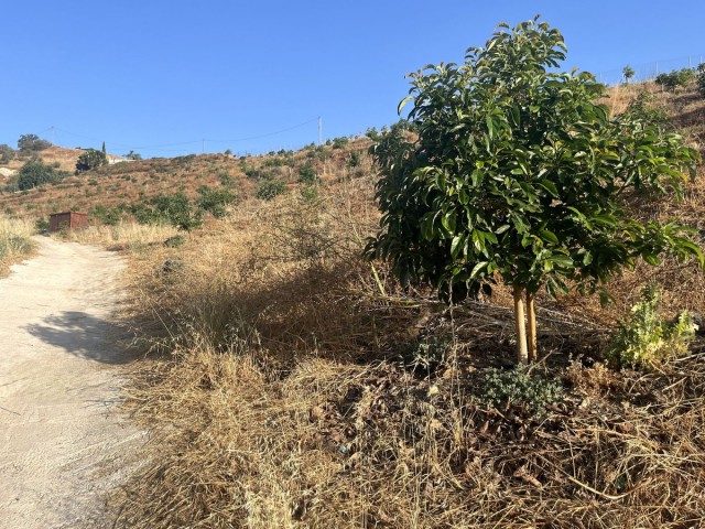  Plot in Alhaurín el Grande