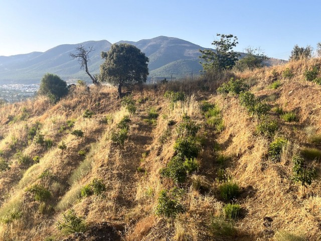 Plot in Alhaurín el Grande