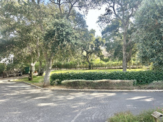 Grundstück, Sotogrande Alto, R5104468