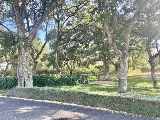 Grundstück, Sotogrande Alto, R5104468