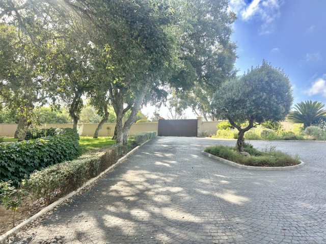 Grundstück, Sotogrande Alto, R5104468