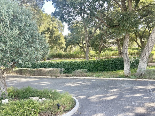  Grundstück in Sotogrande Alto