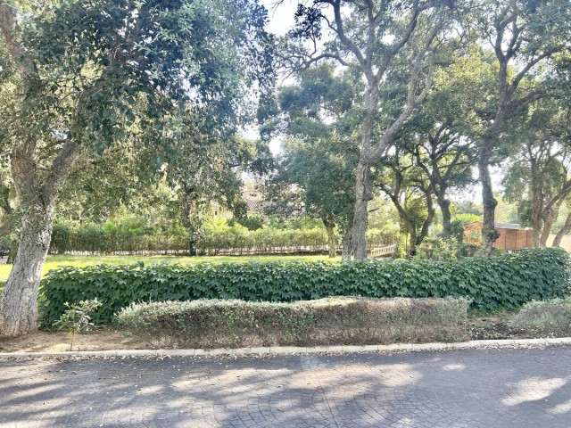  Grundstück in Sotogrande Alto