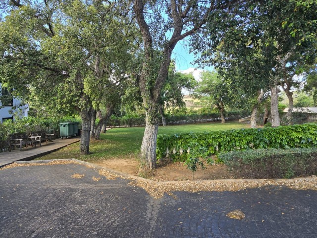  Grundstück in Sotogrande Alto