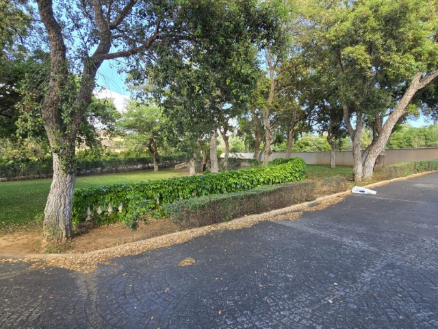  Grundstück in Sotogrande Alto