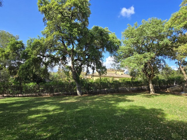  Grundstück in Sotogrande Alto