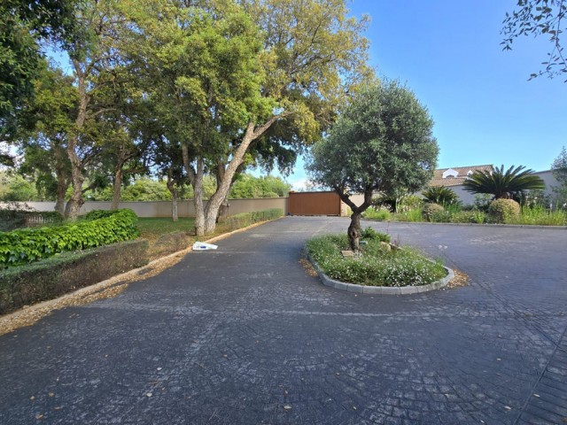  Grundstück in Sotogrande Alto