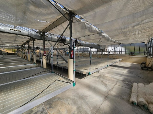 Comercial con 6 Dormitorios  en Casares