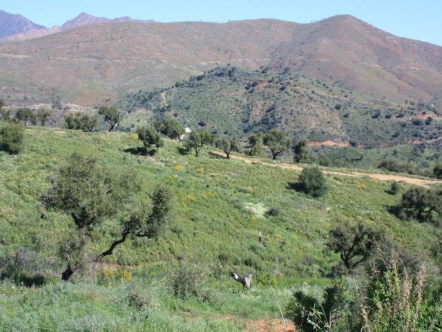  Terreno en La Mairena