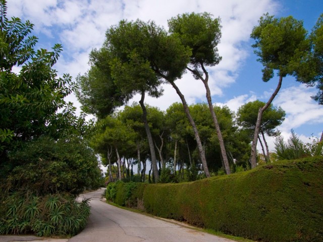  Terreno en La Mairena