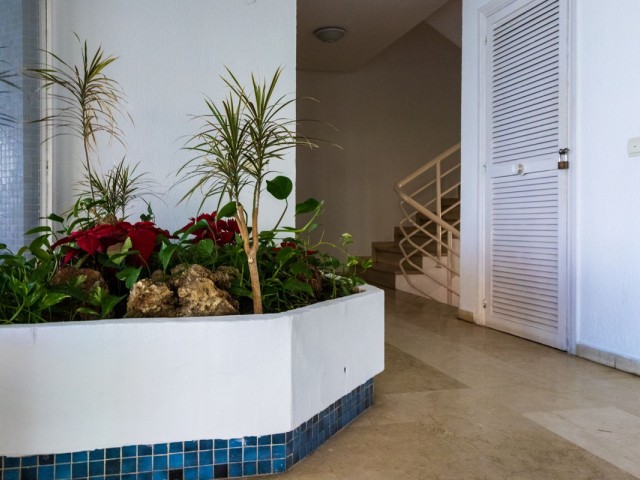 2 Schlafzimmer Apartment in La Carihuela