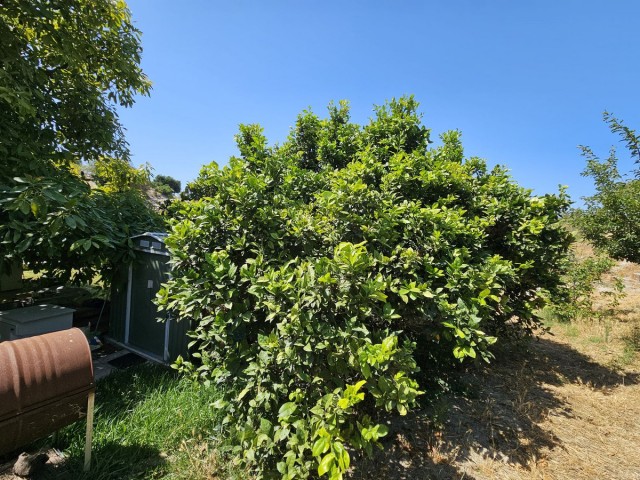 Villa, Casares, R5116900