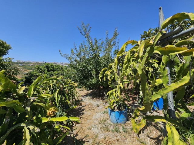 2 Schlafzimmer Villa in Casares
