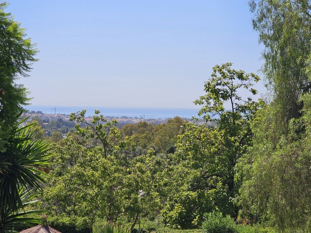 Apartment, La Quinta, R5117794