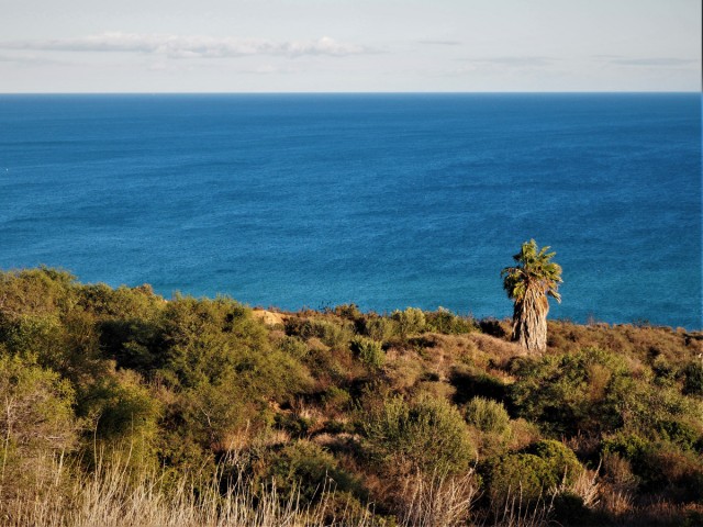  Perceel in La Duquesa