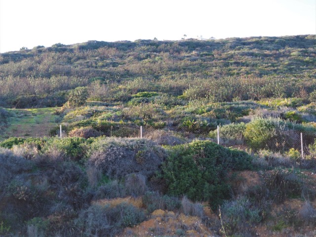  Perceel in La Duquesa