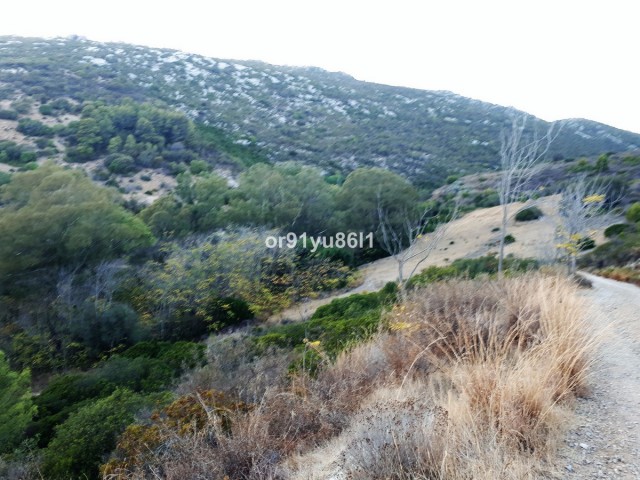 Villa con 5 Dormitorios  en Casares