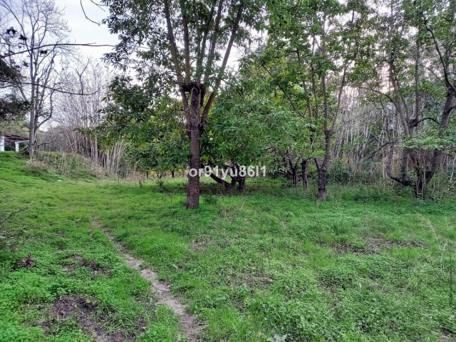 5 Bedrooms Villa in Casares