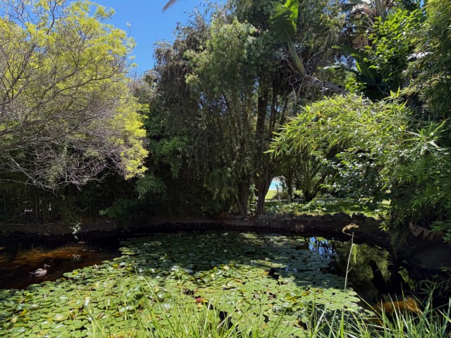 Appartement avec 3 Chambres  à Estepona