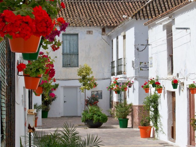 Villa avec 4 Chambres  à Estepona