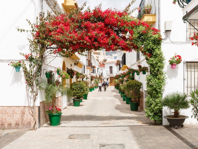 Villa avec 4 Chambres  à Estepona