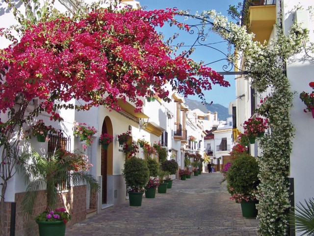 Villa avec 4 Chambres  à Estepona