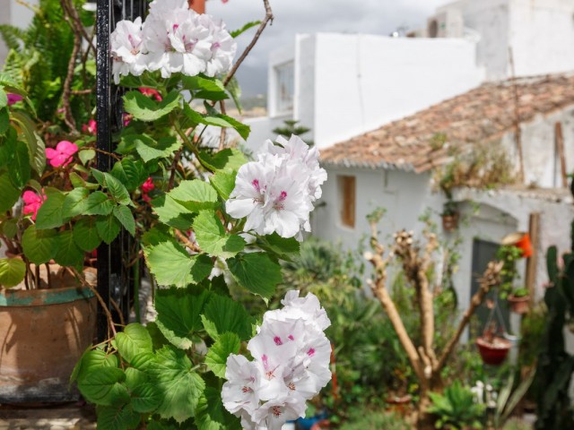 Villa avec 4 Chambres  à Estepona