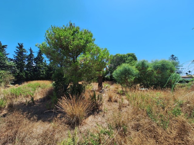  Grundstück in Atalaya