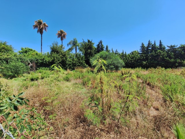  Grundstück in Atalaya