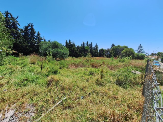  Grundstück in Atalaya