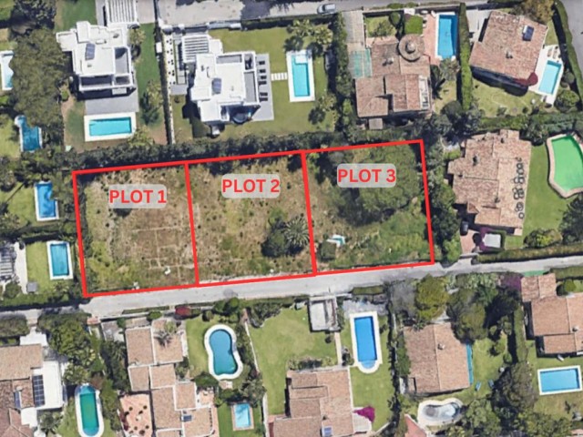  Plot in Atalaya