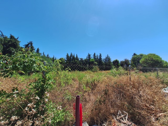  Plot in Atalaya