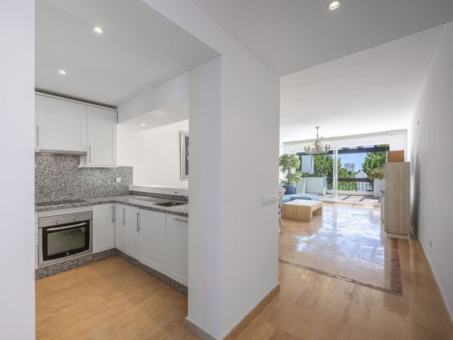 Penthouse in Río Real