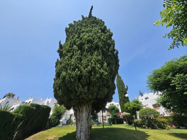 Maison mitoyenne avec 4 Chambres  à Estepona