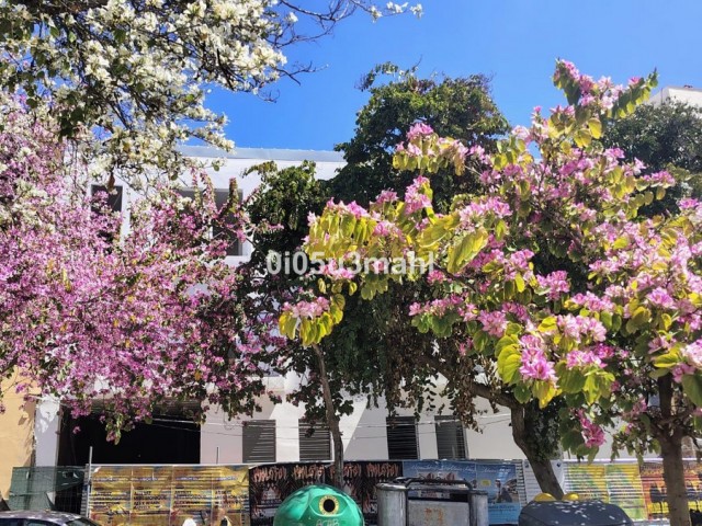 4 Bedrooms Apartment in Málaga
