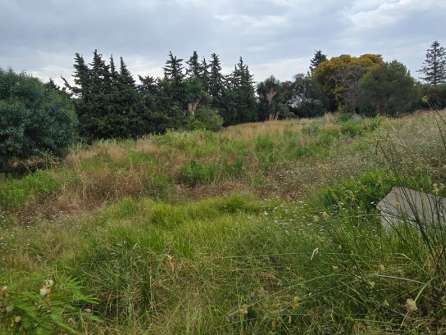  Perceel in Atalaya