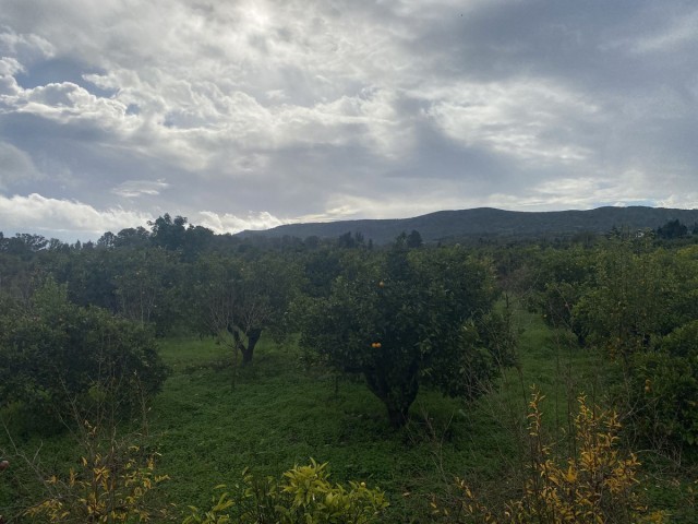  Plot in Sotogrande