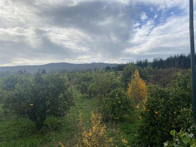  Plot in Sotogrande