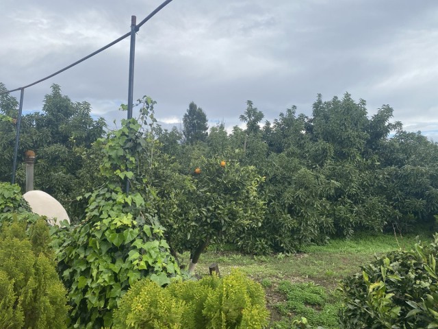  Plot in Sotogrande