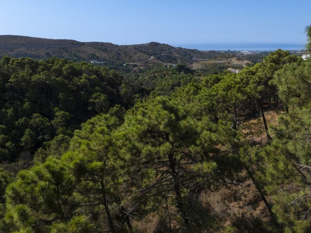  Plot in Benahavís