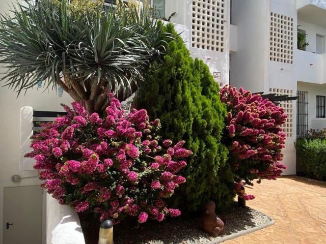3 Schlafzimmer Apartment in Torrequebrada
