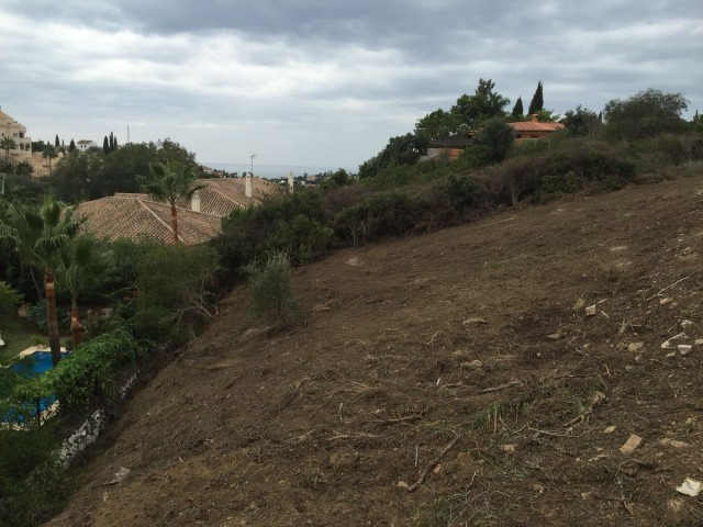  Plot in Elviria