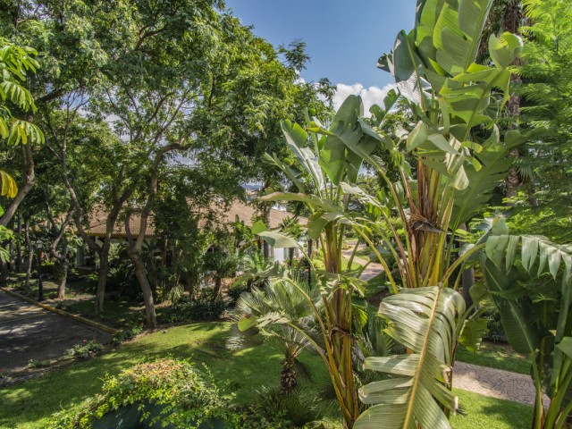 3 Slaapkamer Appartement in Nueva Andalucía