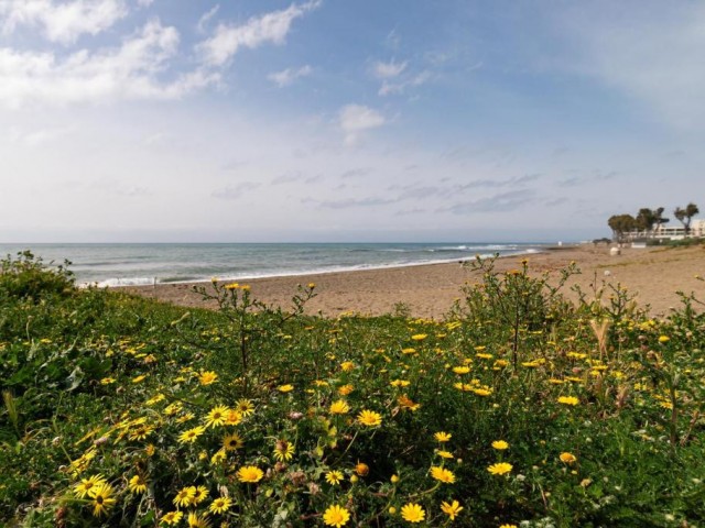 2 Slaapkamer Appartement in Estepona