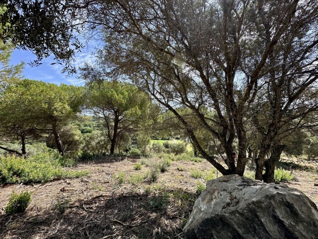  Terreno en Sotogrande