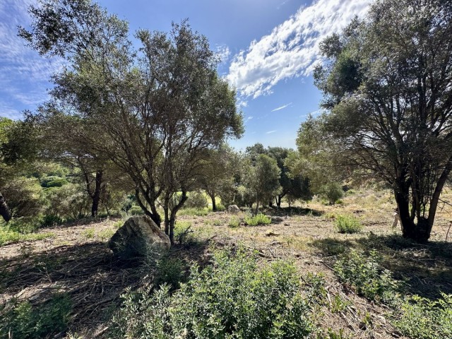  Terreno en Sotogrande