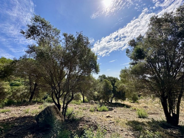  Terreno en Sotogrande