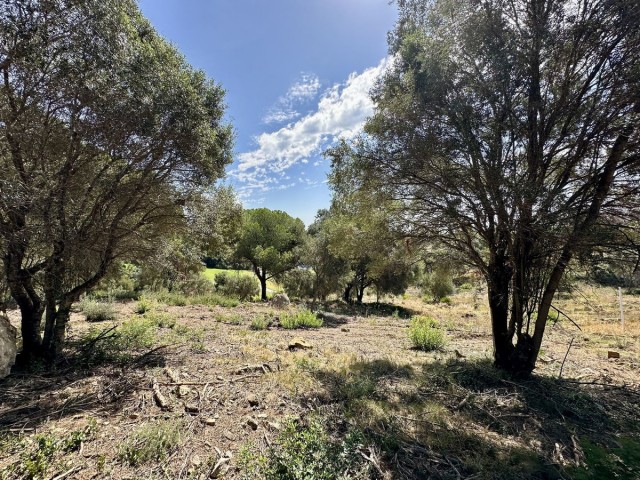  Terreno en Sotogrande
