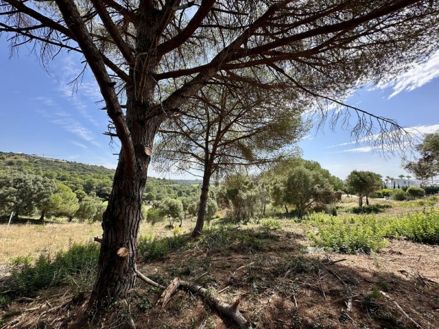  Terreno en Sotogrande