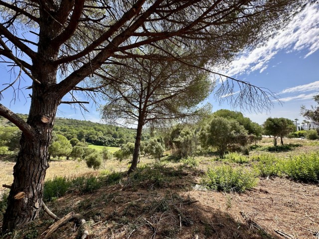  Terreno en Sotogrande